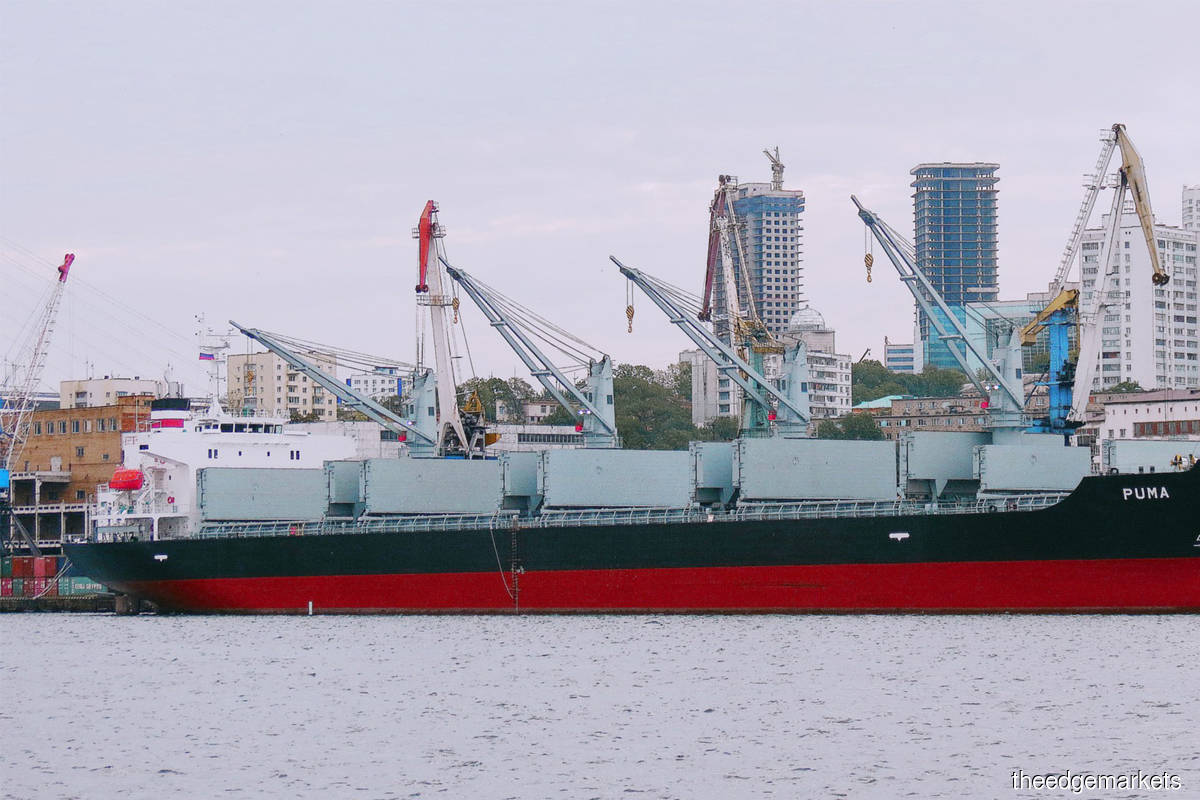 Dry bulk and container freight rates set to stay elevated this year, say industry players